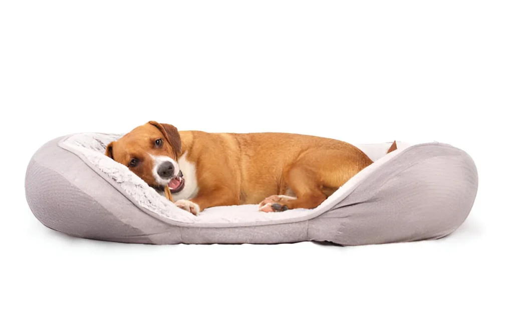 Memory Foam vs Pillow-Top Orthopedic Dog Beds 3 Memory Foam Orthopedic Dog Beds