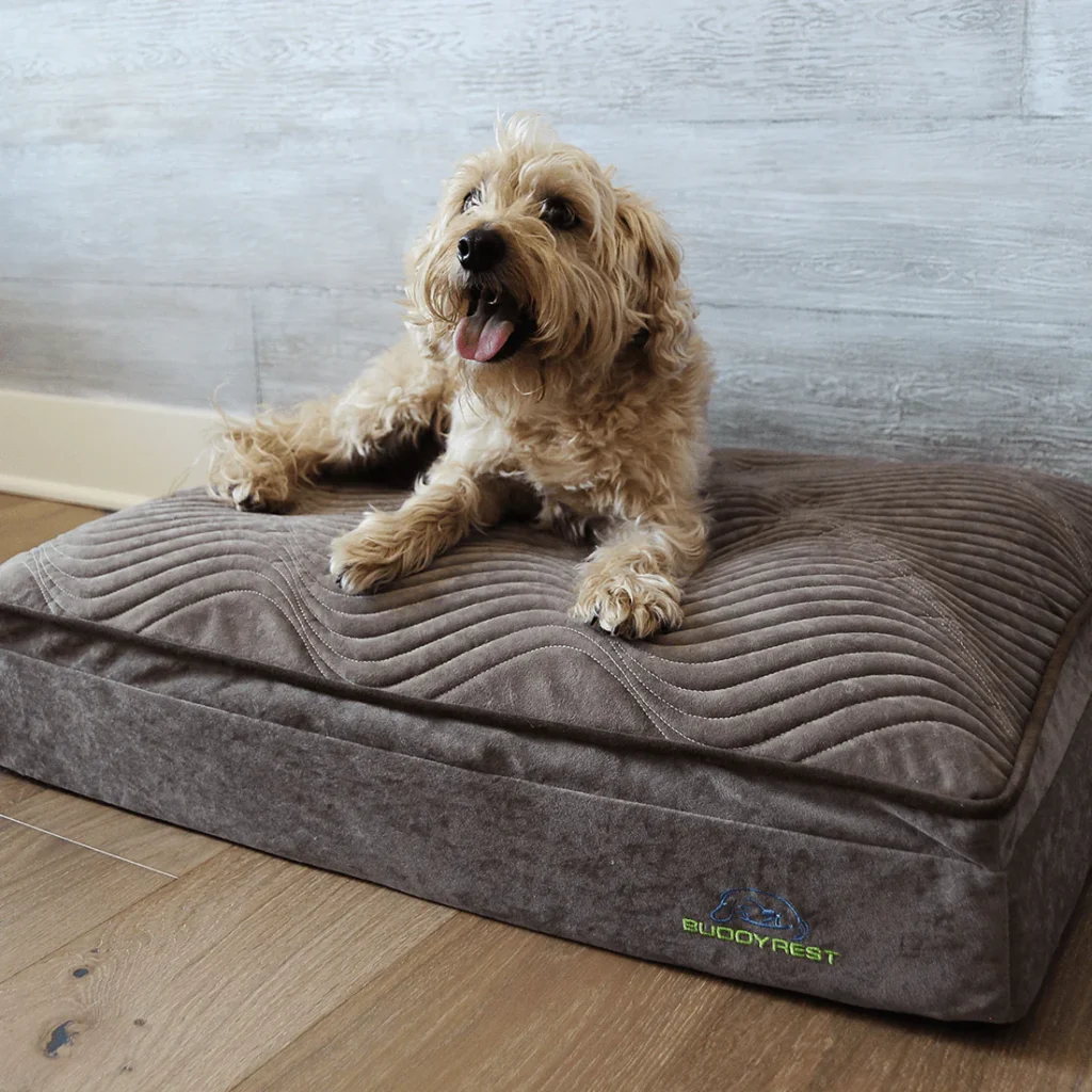 Affinity Pillow-Top Orthopedic Dog Bed 2 washable dog bed
