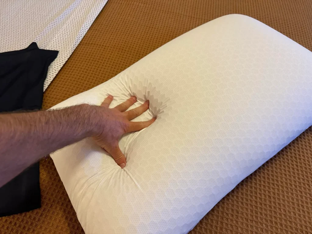Purple Harmony Pillow Review